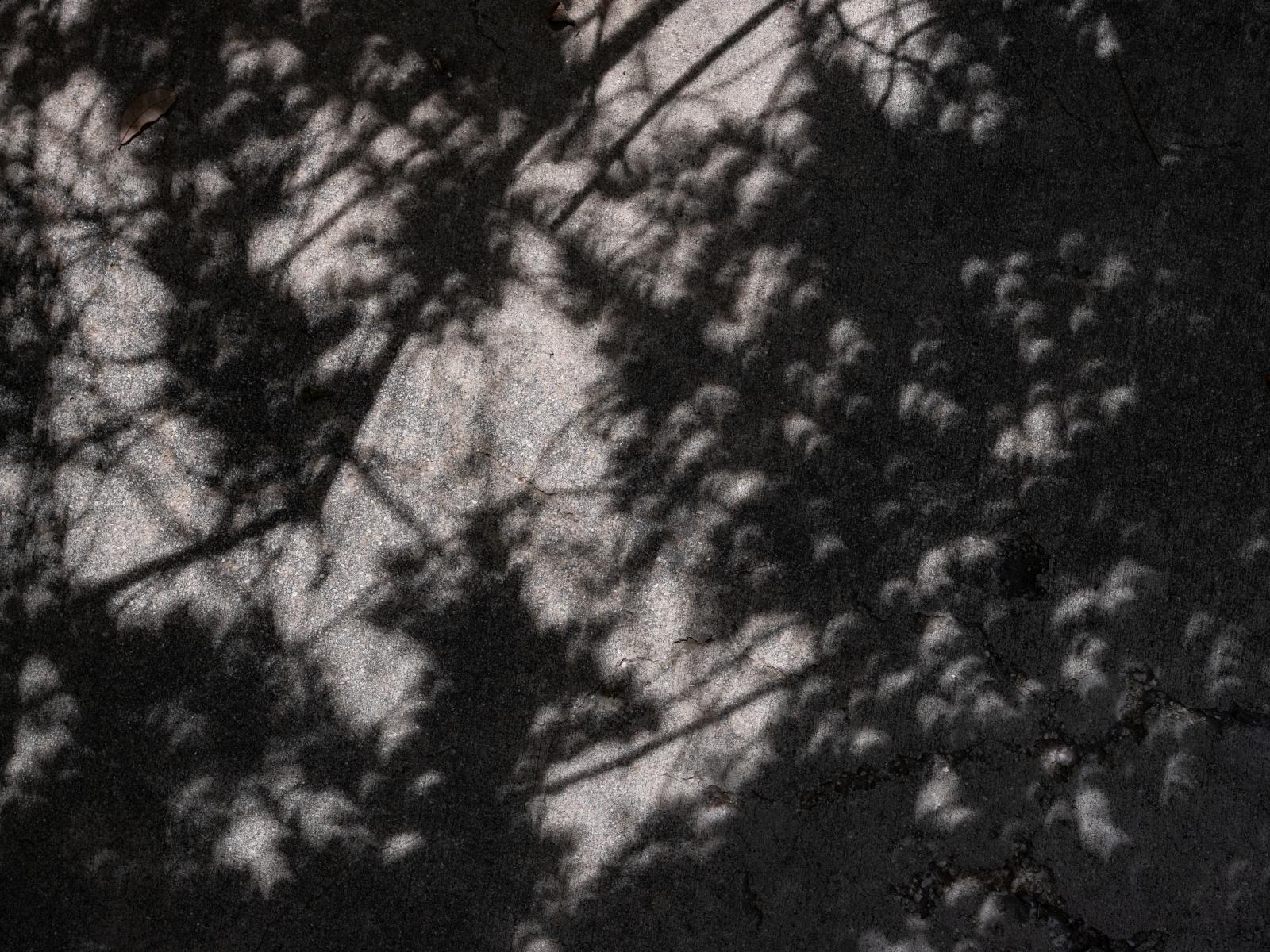 Scattered Eclipse Crescents