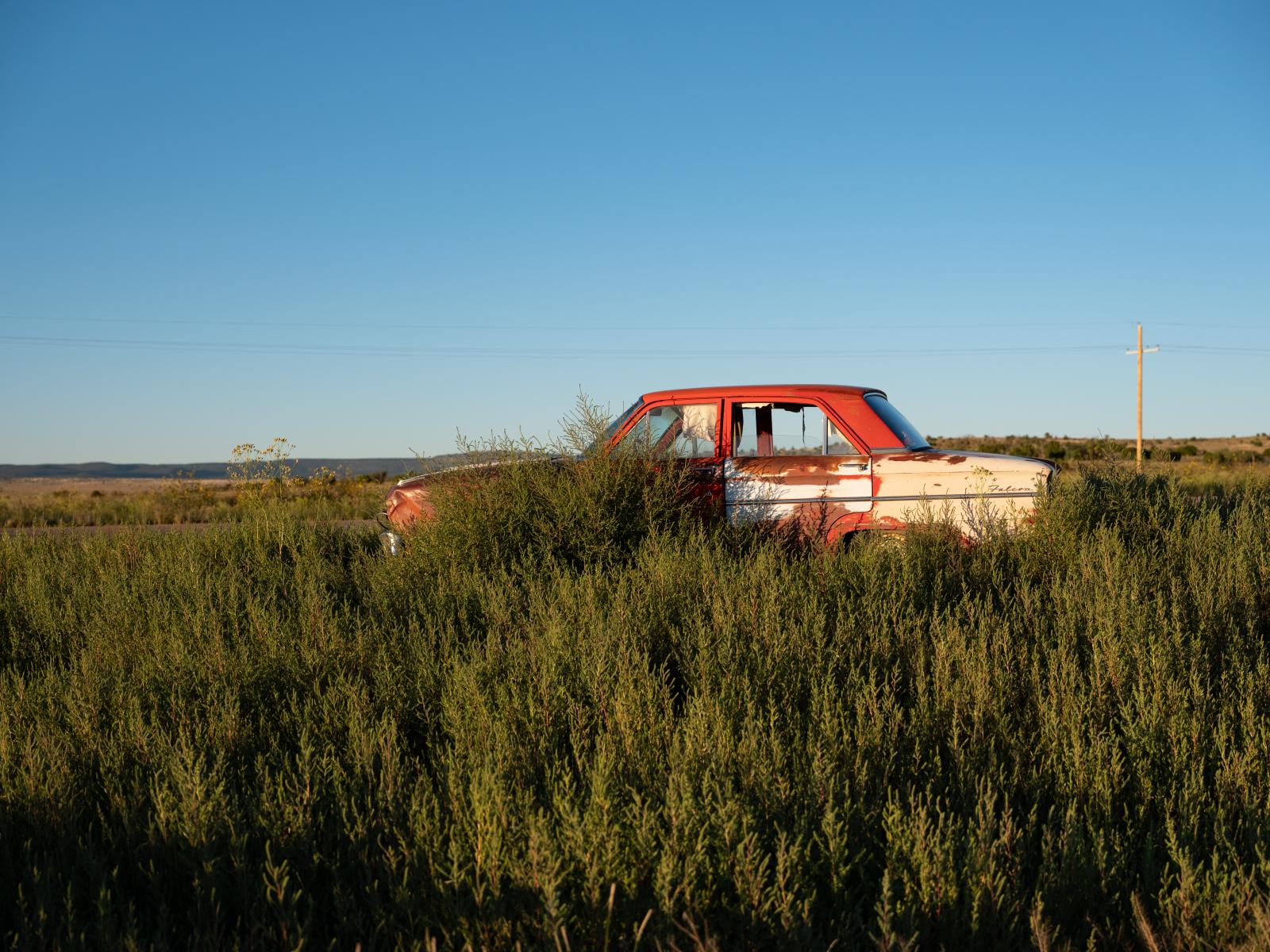 Overgrown Car | Buy this image