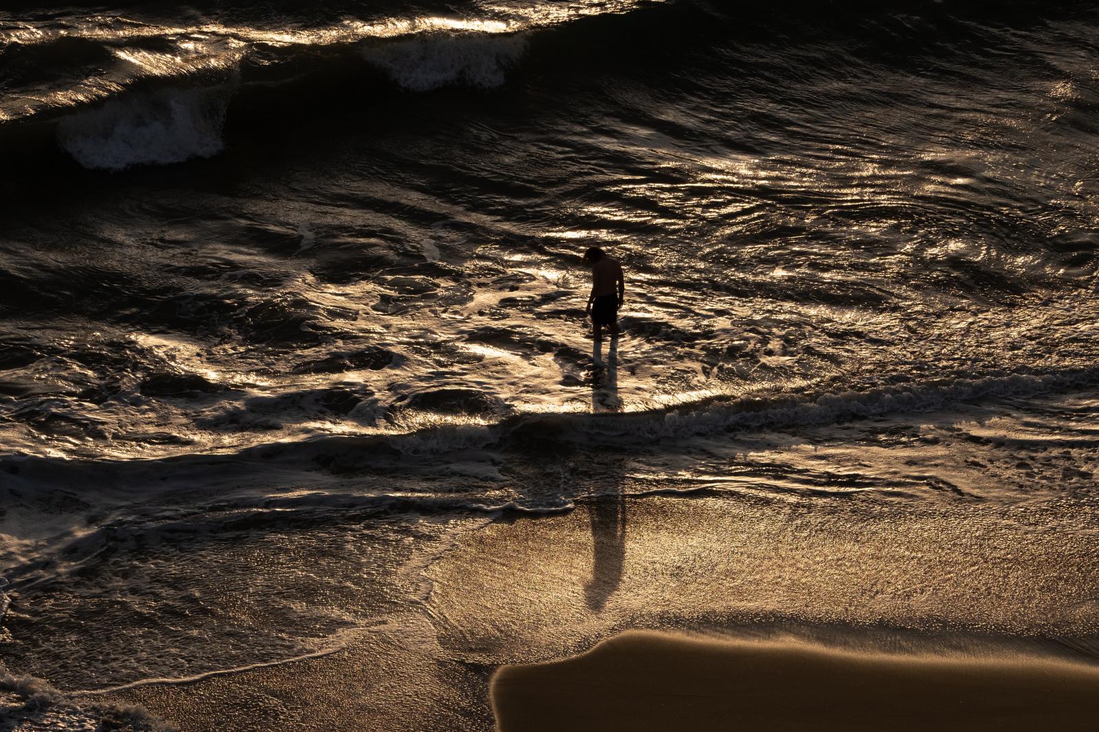 Wading in the Waves | Buy this image