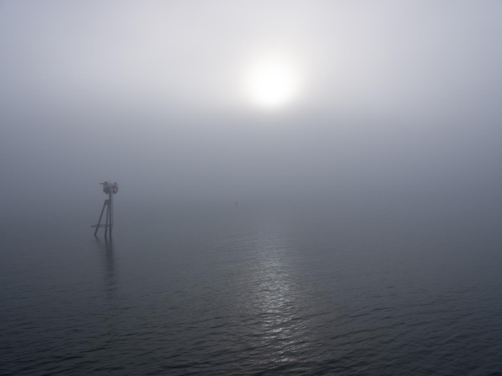 Foggy Ferry Ride