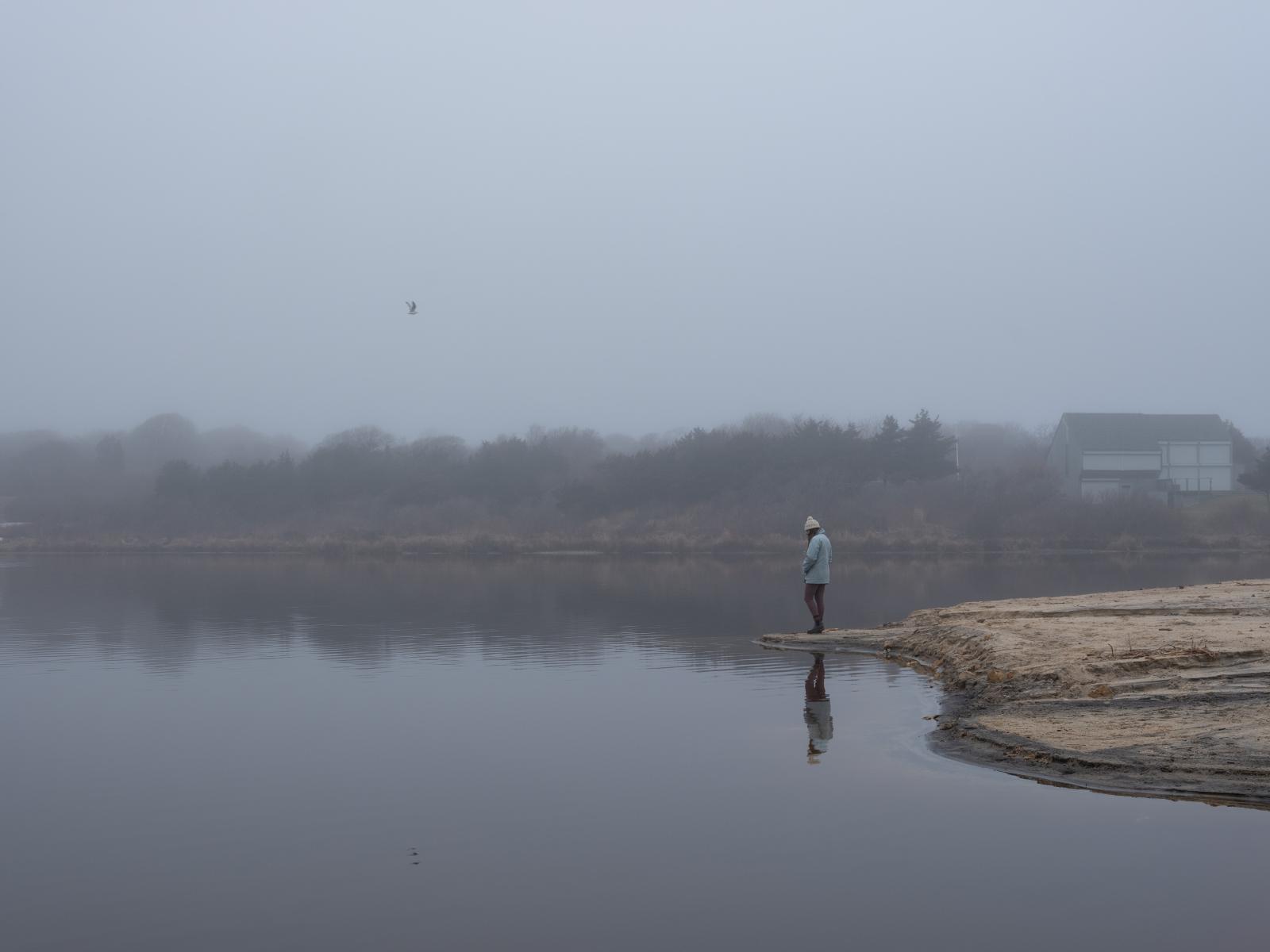 Foggy Pond Portrait