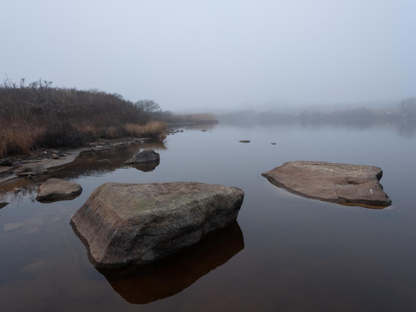 Foggy Pond