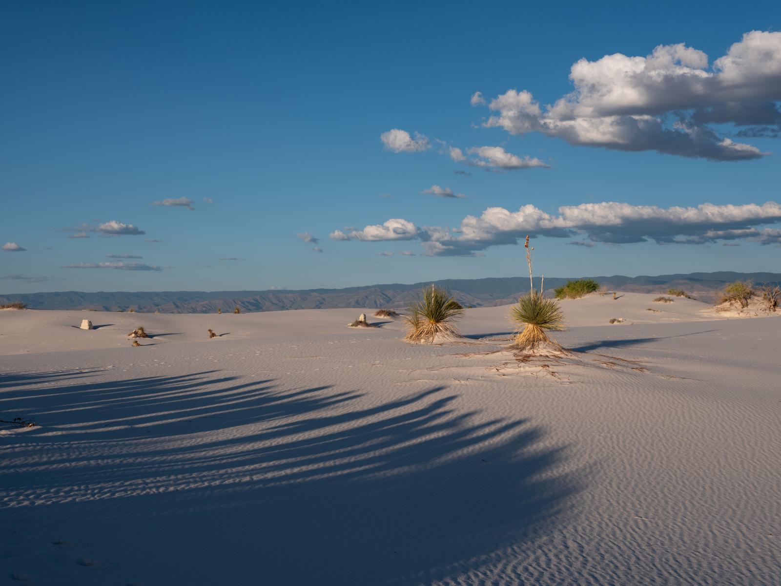 White Sands