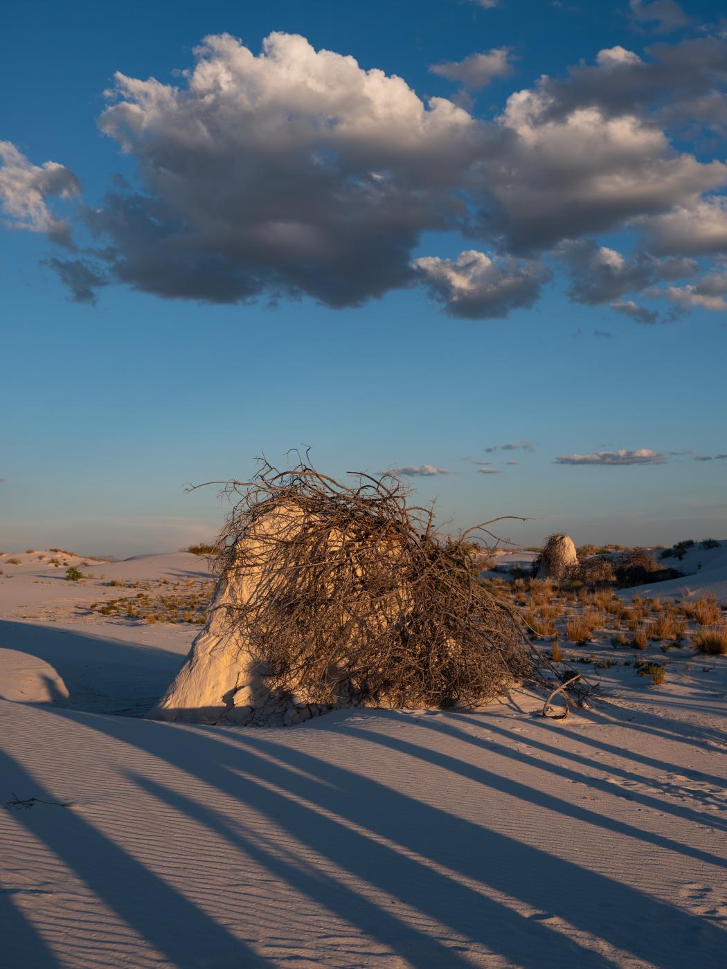 White Sands