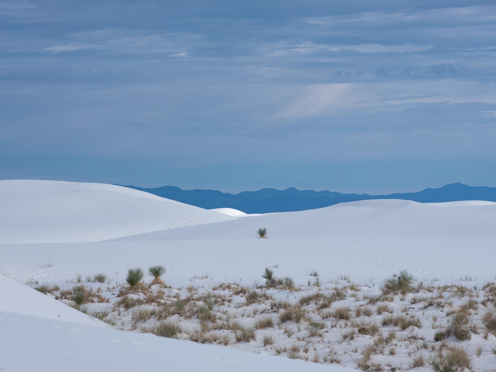 White Sands