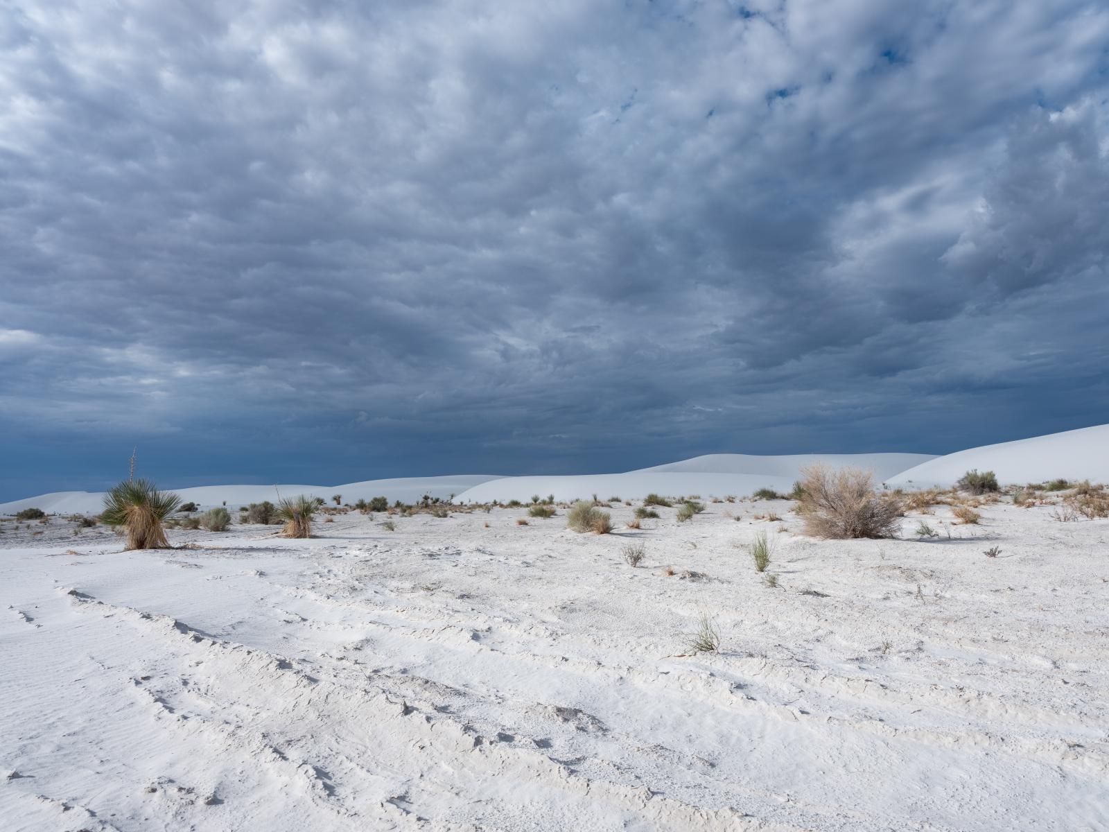 White Sands