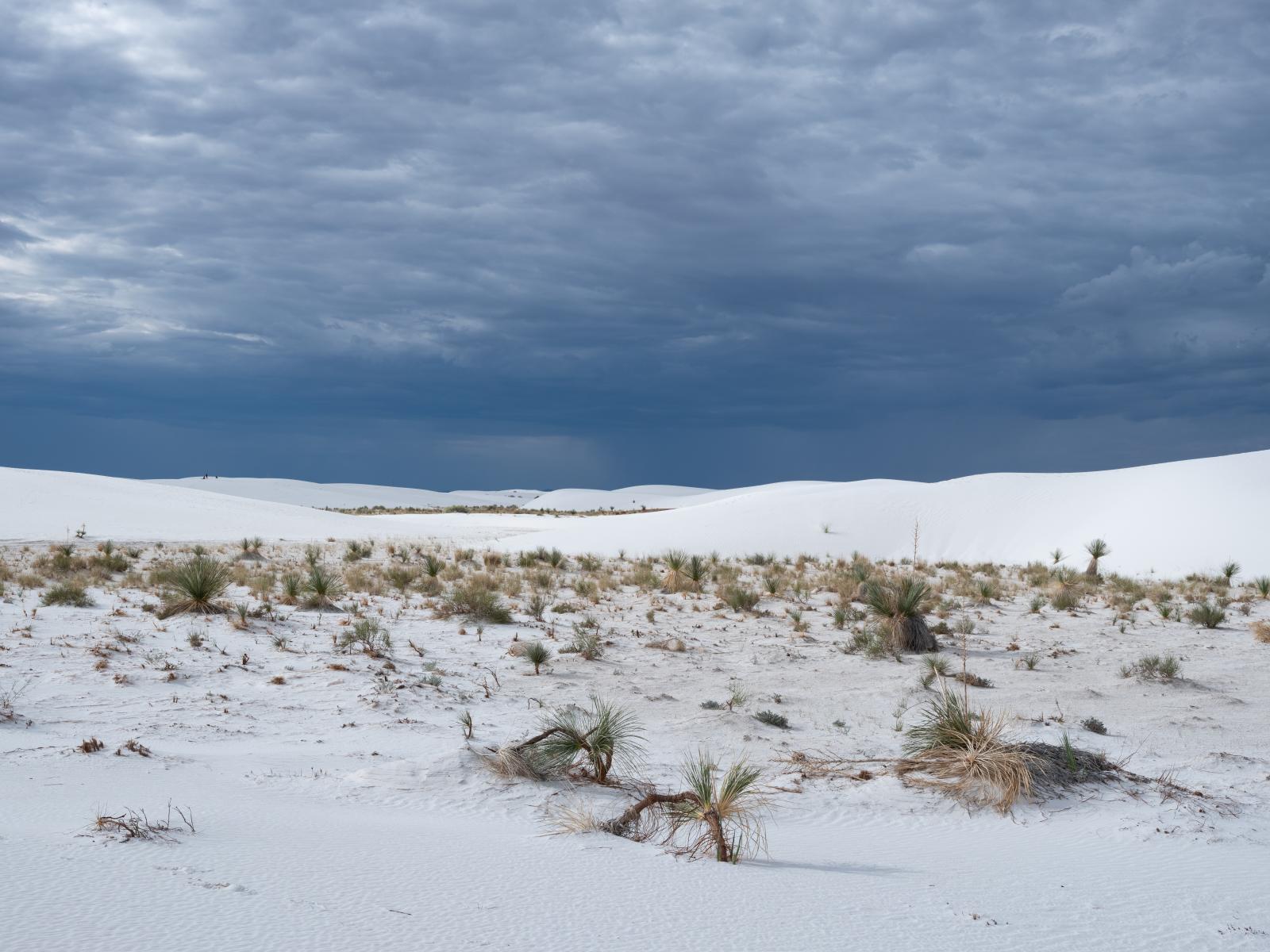 White Sands