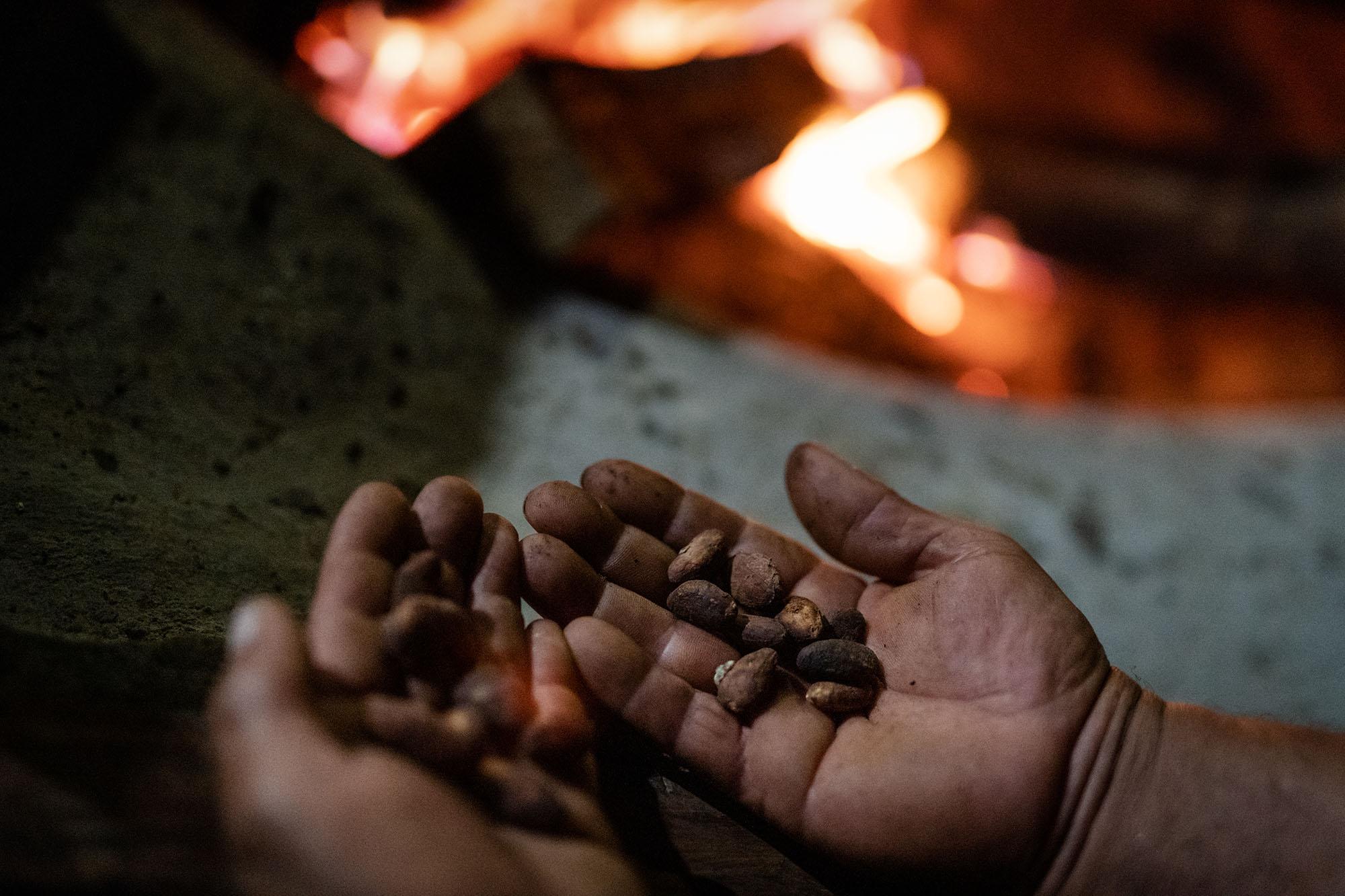 Smithsonian Magazine - The Quest to Save the World’s Most Coveted Chocolate