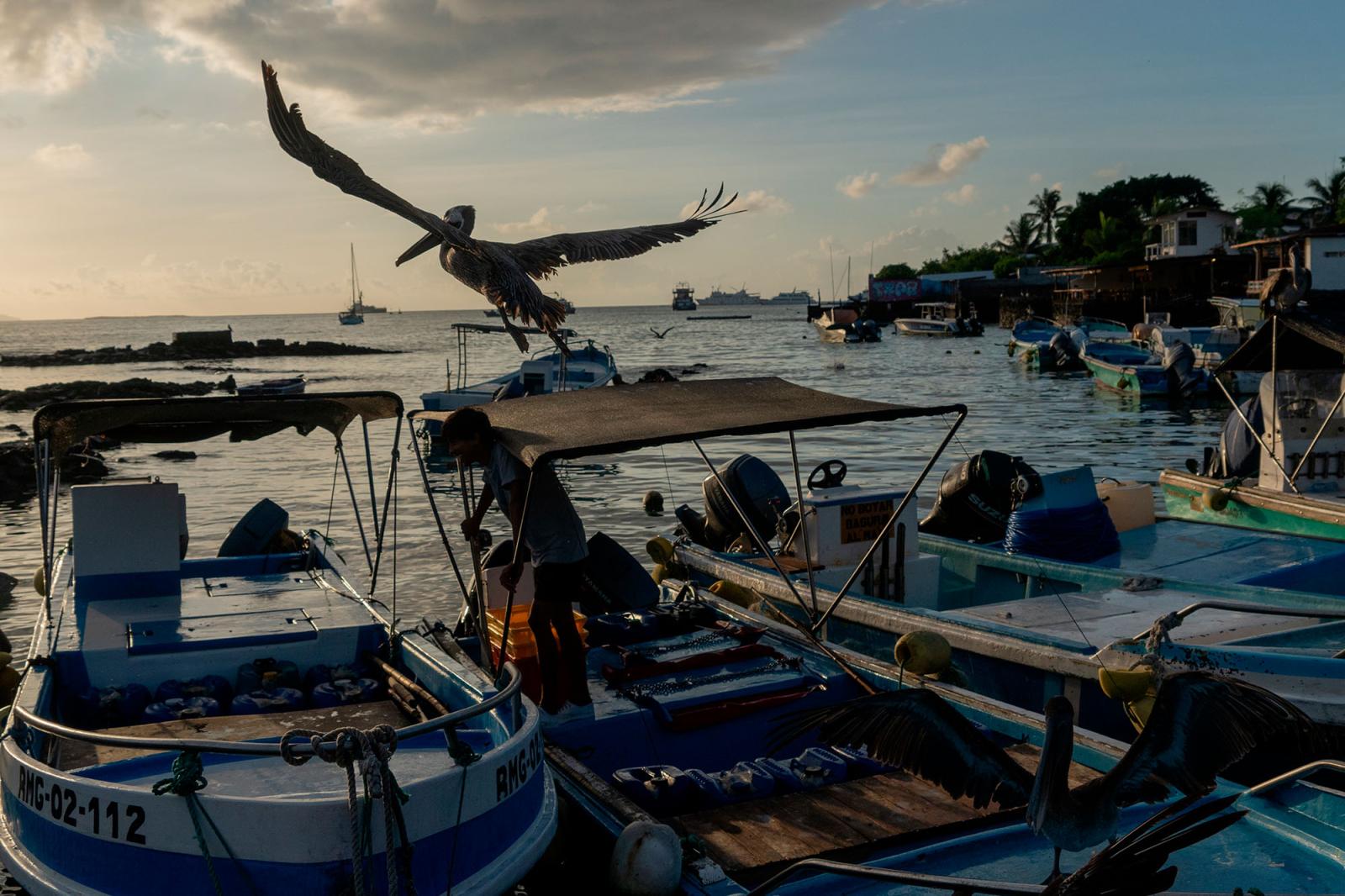 Fishermen arrive at the port at...Greenpeace Puerto Ayora Ecuador