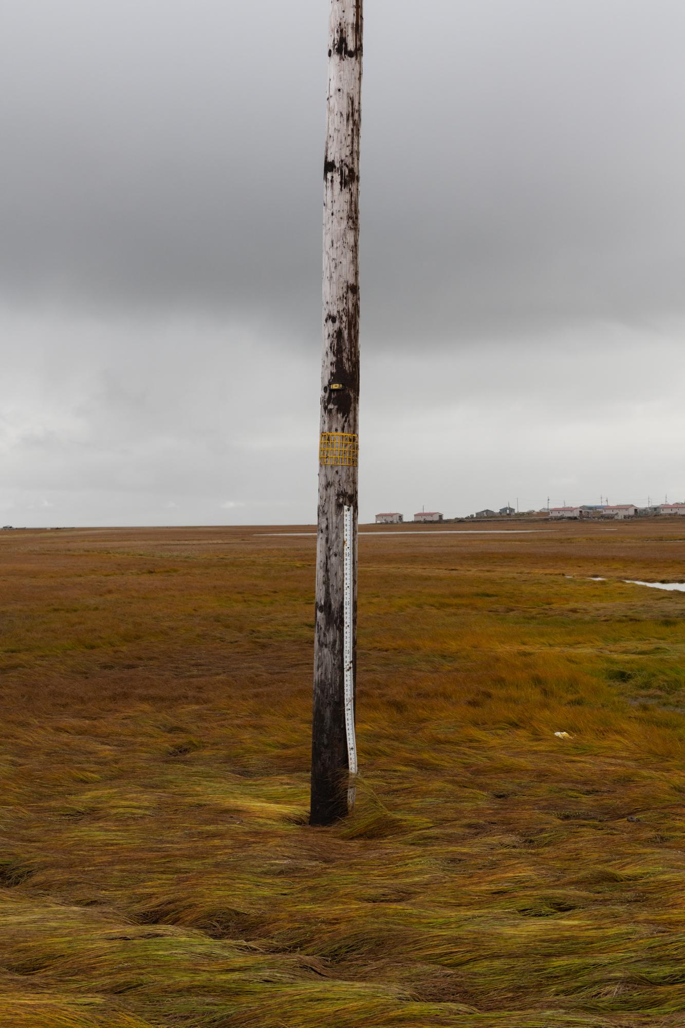 Climate Change Comes for the Freezers - The New York Times - A telephone pole doubles as a tool to measure flood...