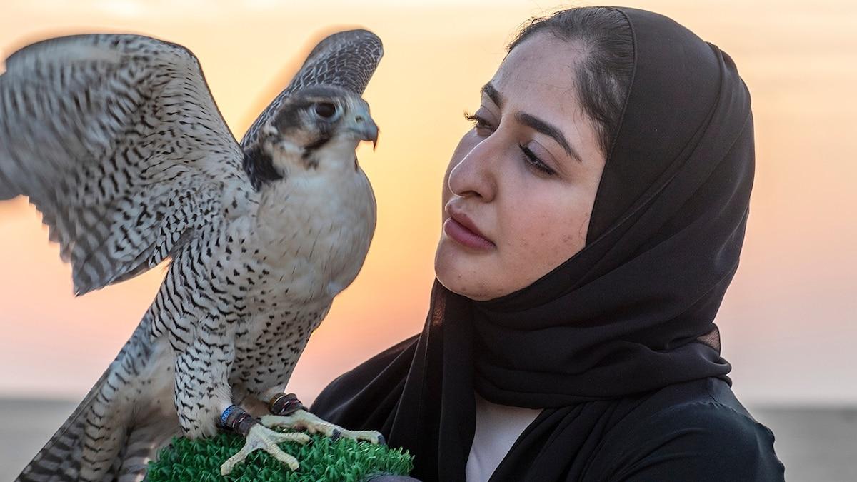 Where falconry is a storied sport, these women are writing a new chapter
