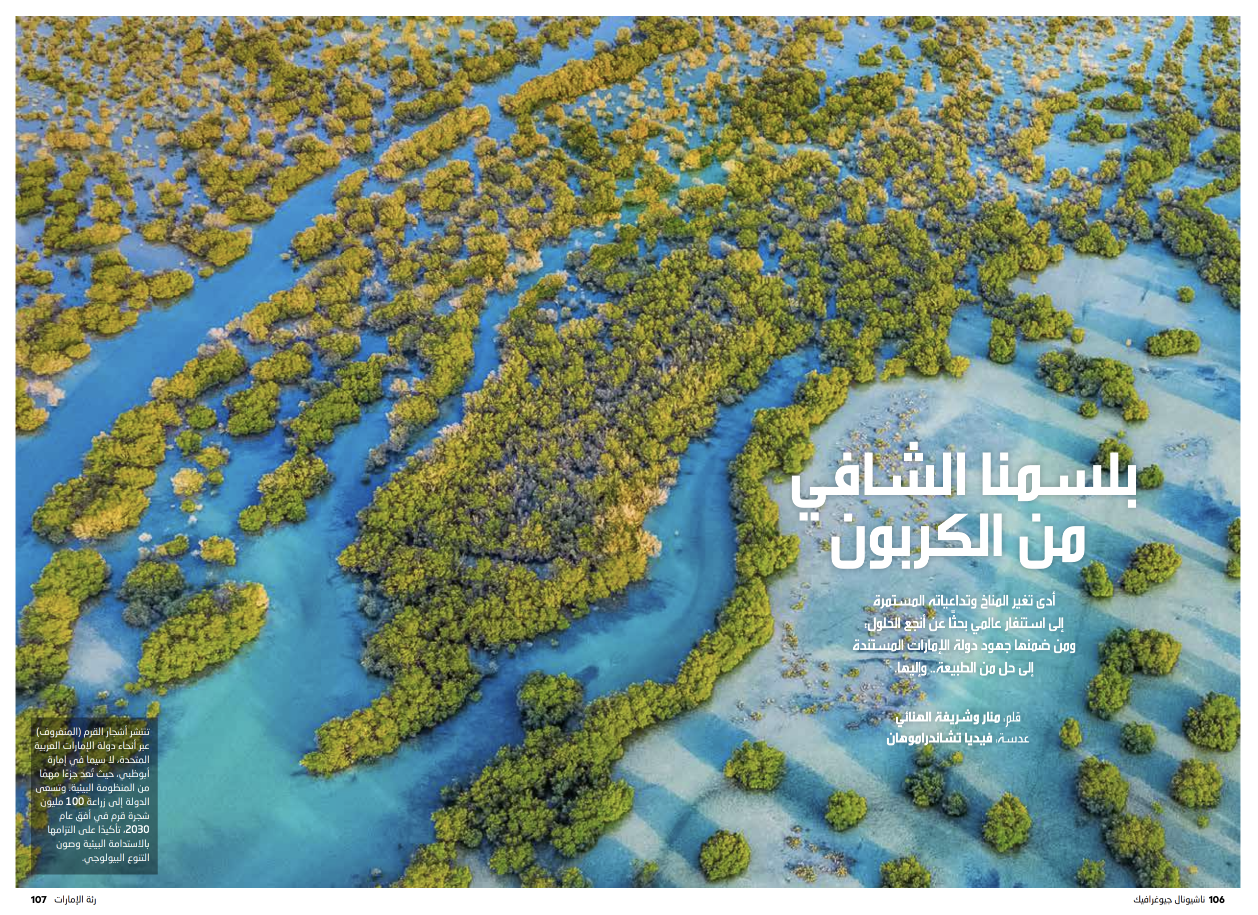 Mangroves - UAE published in National Geographic Arabia 2023