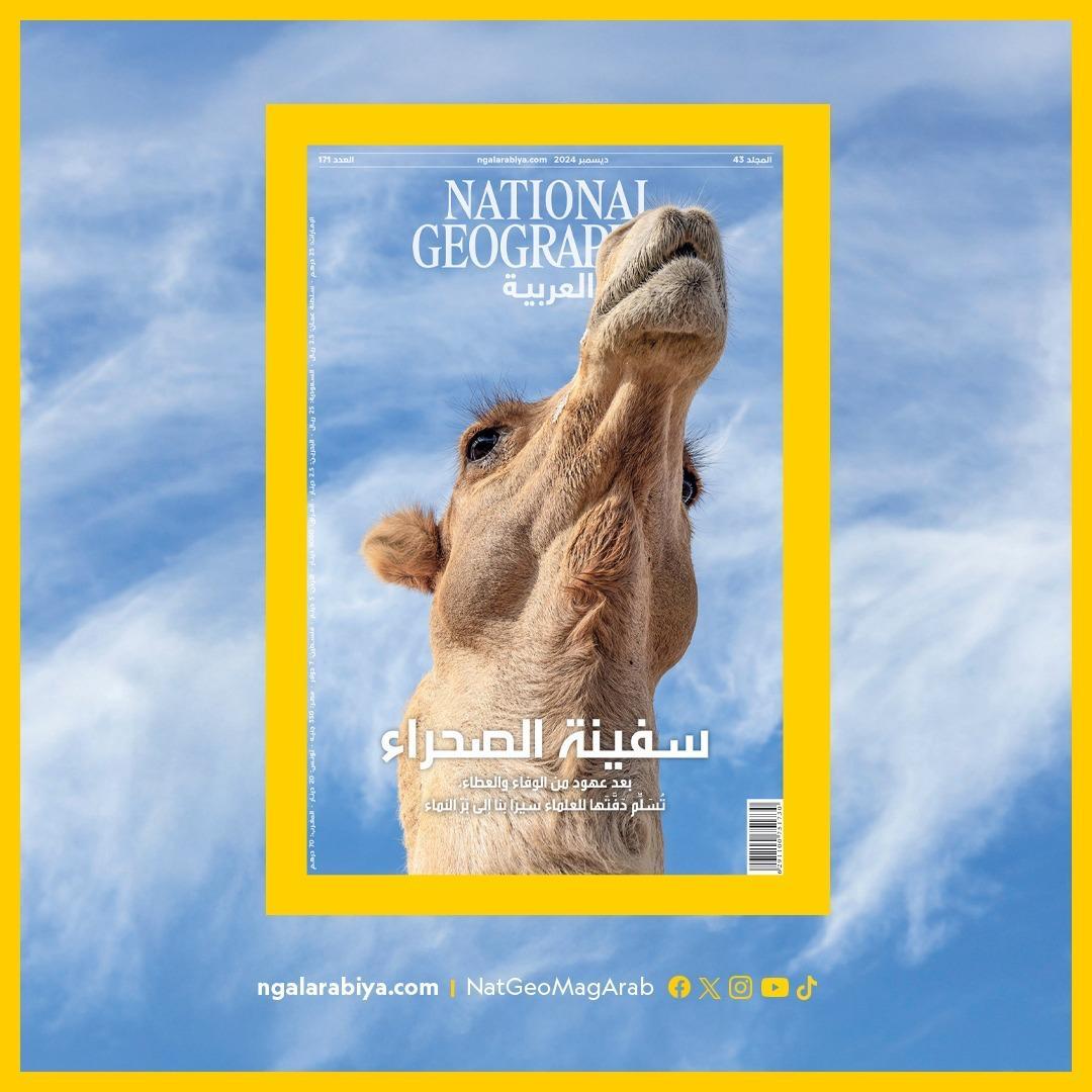 Art and Documentary Photography - Loading Camel-_Genetic.JPG