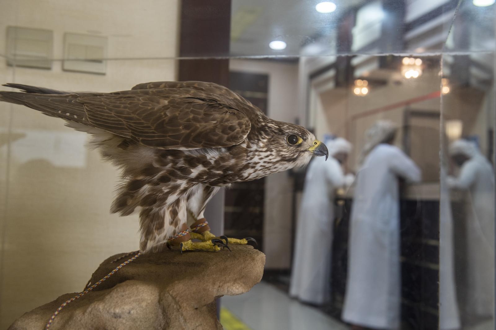 A visitor arrives at the Falcon...waits in the reception counter.