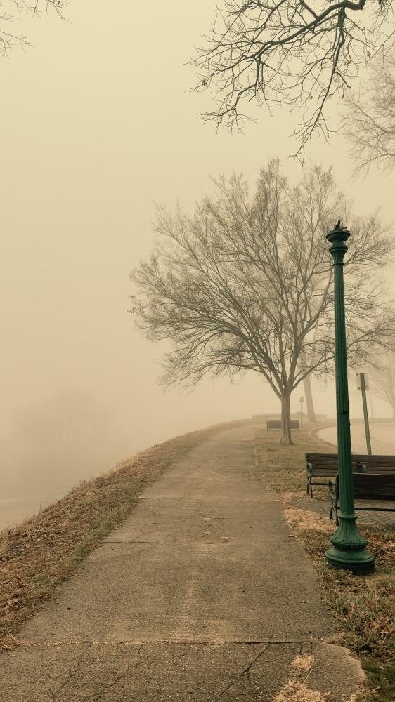 Foggy morning in Virginia