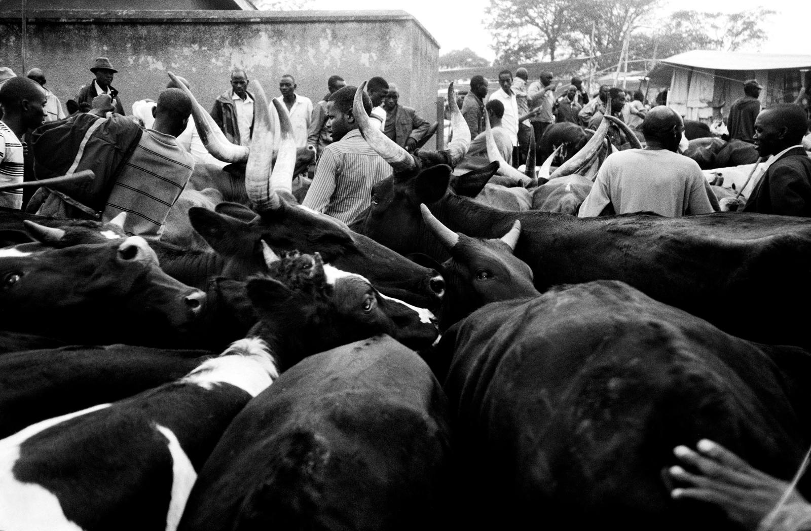 Market Sale Silver gelatin print