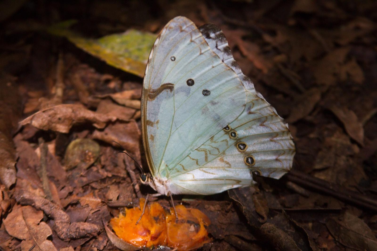 Natureza em contexto