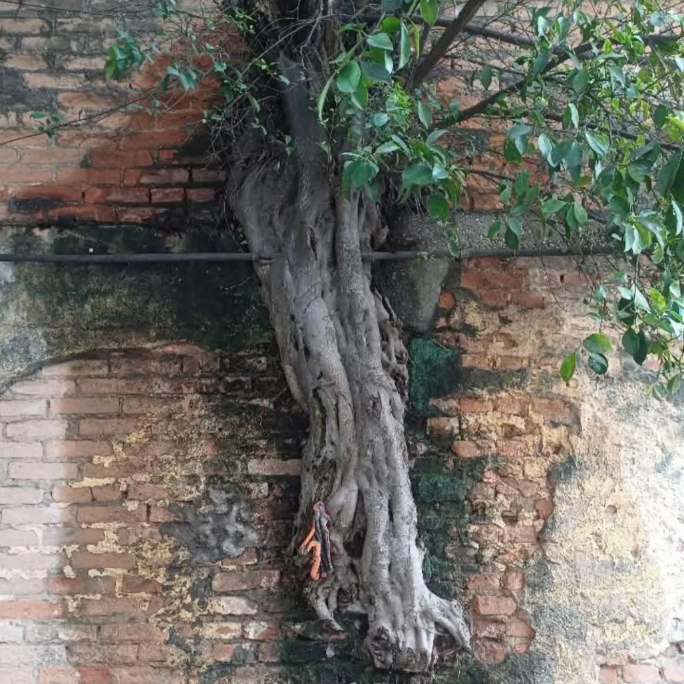 Natureza em contexto