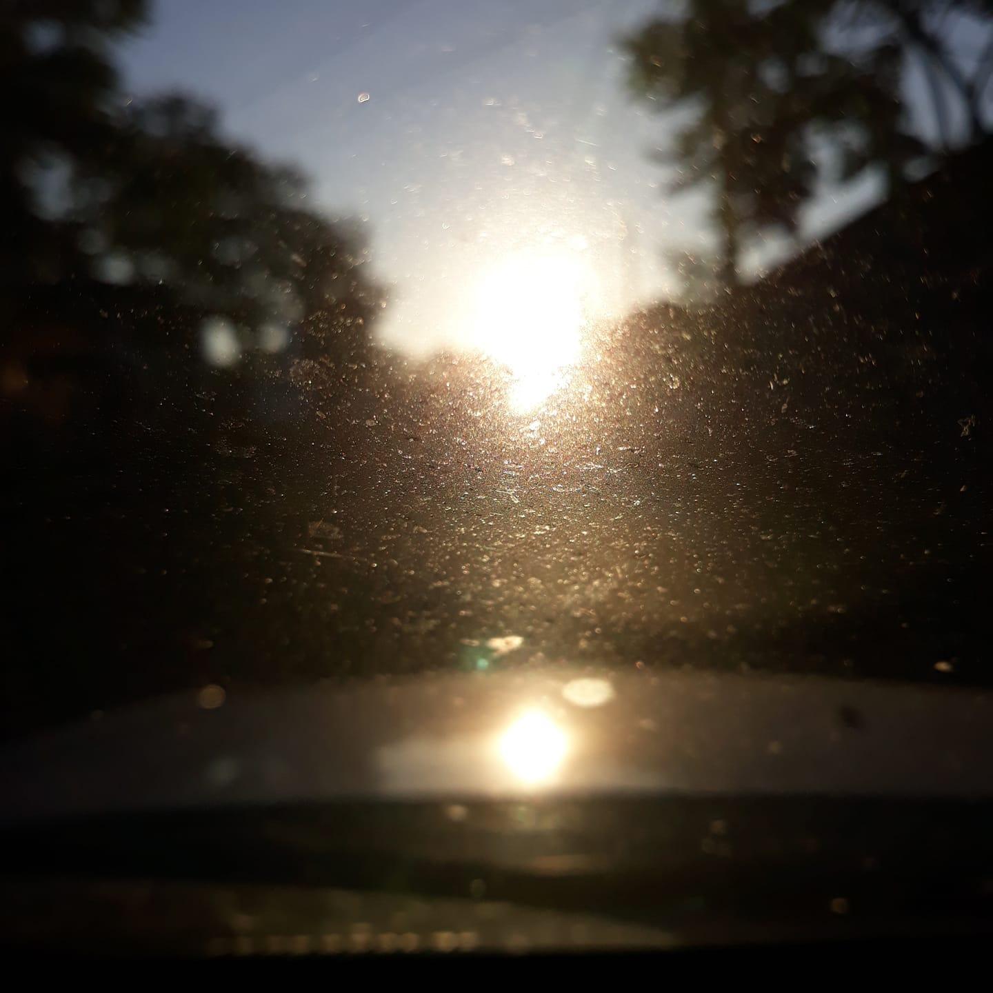 - paisagem detalhes dois
