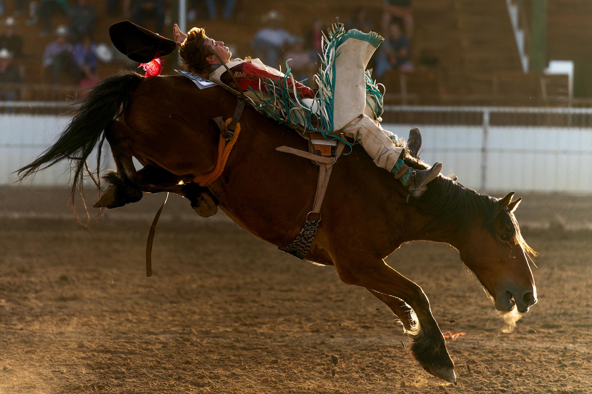 Sports - A bareback rider competes in the Wyoming State High...