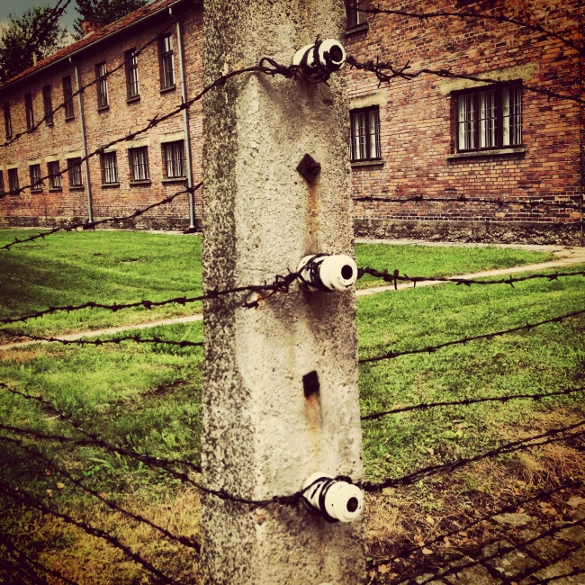 Auschwitz-Birkenau - 