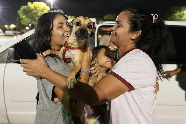 BuzzFeed: More Dogs Are Getting Separated From Their Immigrant Owners At The Border, So These Volunteers Jumped In To Reunite Them