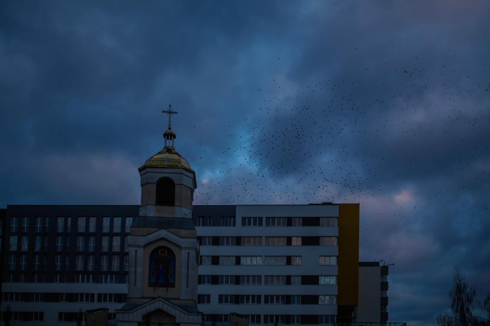 Crows fly in the skies of Lviv, Ukraine. Photo by Gian Marco Benedetto