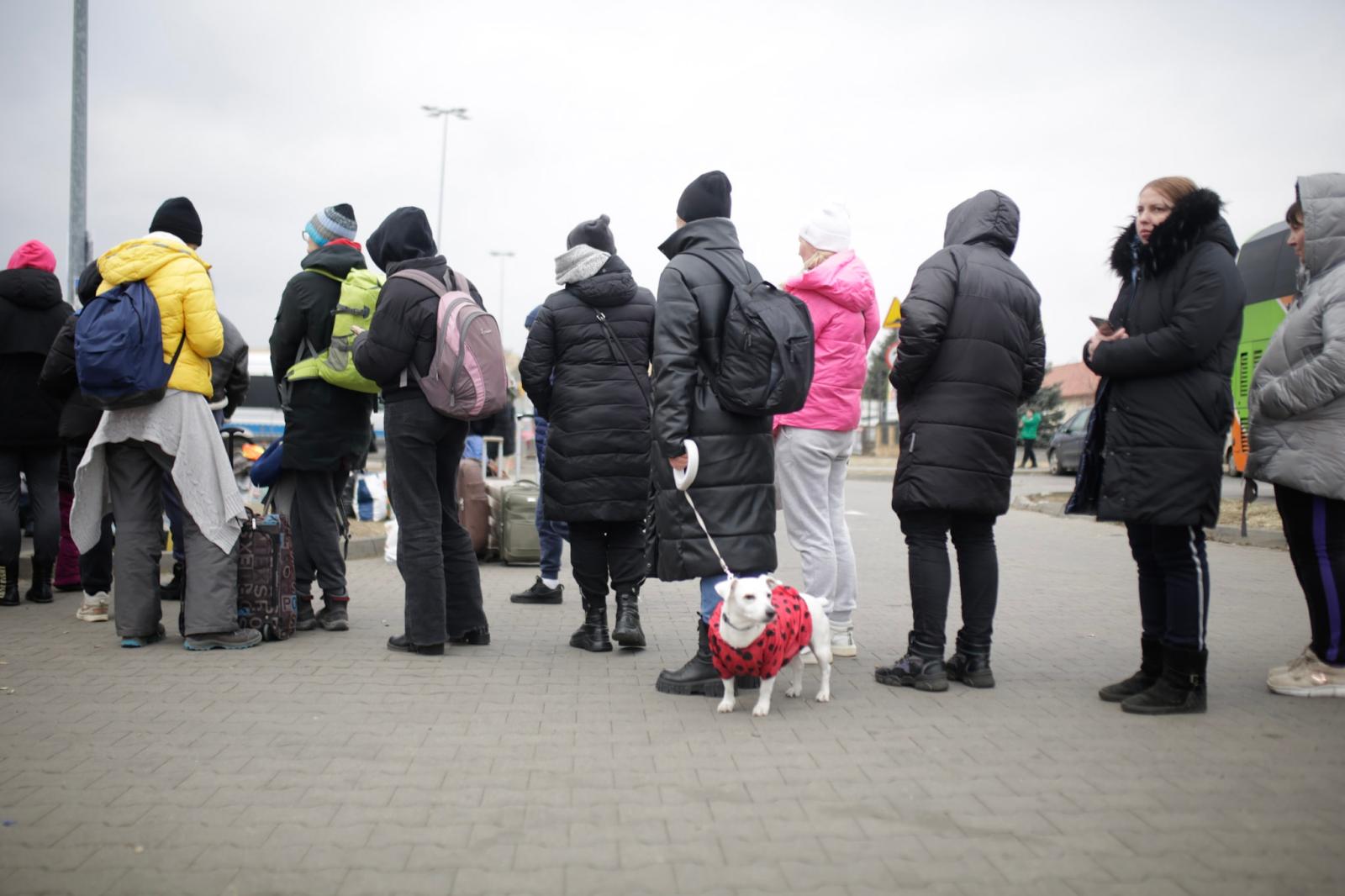 Infotalqual Refugiados entre Ucrania y Polonia - Refugees from Ukraine waiting to travel to European...