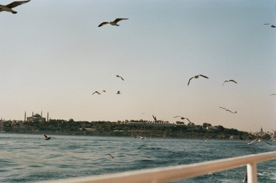 Image from IX: Dead Clade Walking -  Crossing the Bosphorus, Istanbul, Turkey 