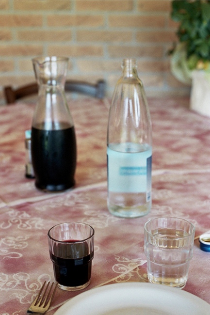 Image from IX: Dead Clade Walking -  Wine and water at lunch, Padua, Italy 