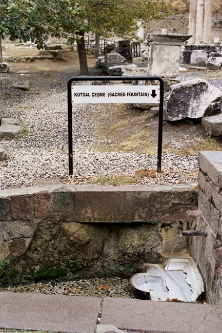 Image from IX: Dead Clade Walking -  The sacred fountain, Bergama, Turkey 