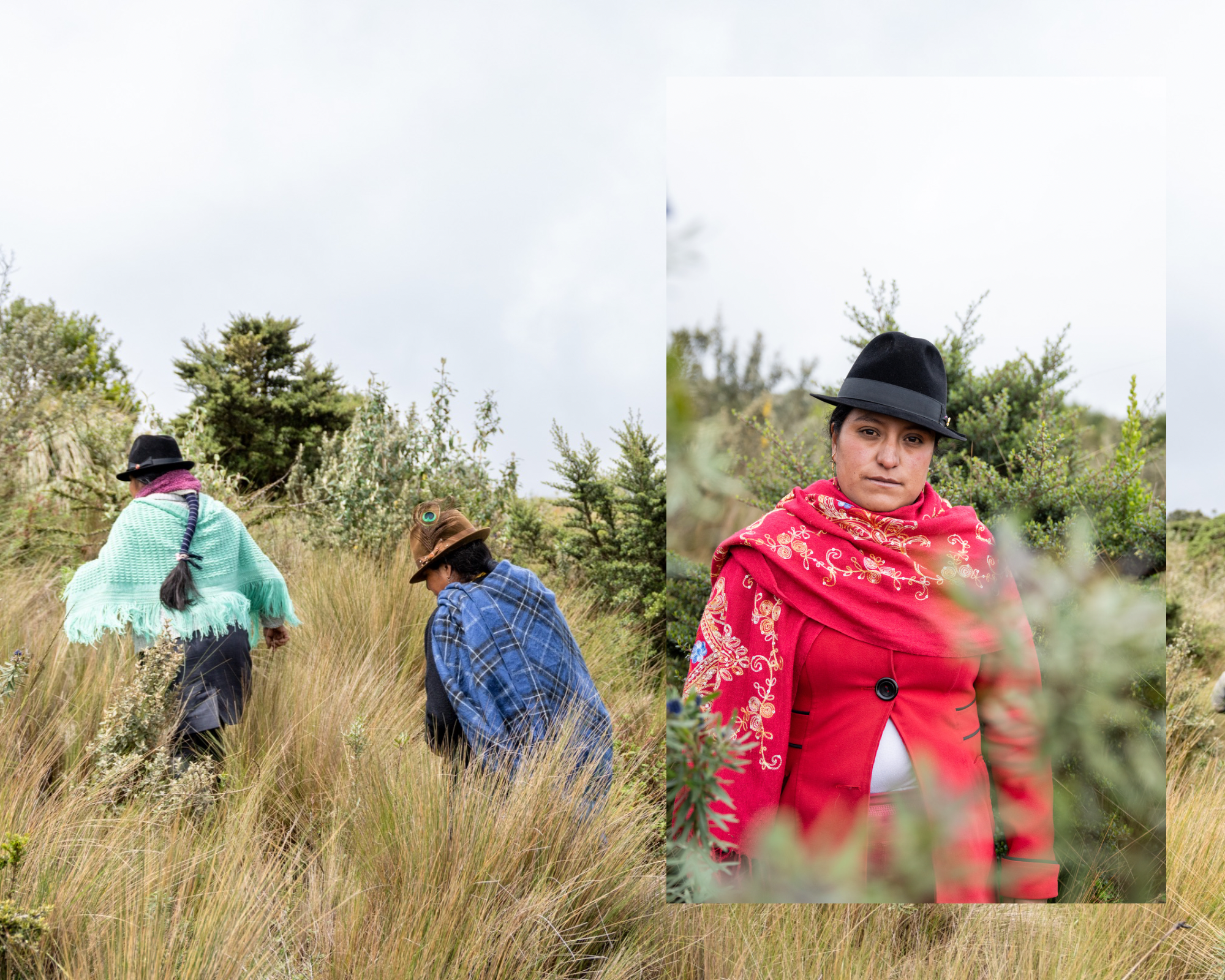 An army of women saving the moorlands - Retrato de mujeres lideresas de Toacazo. 2023.,...