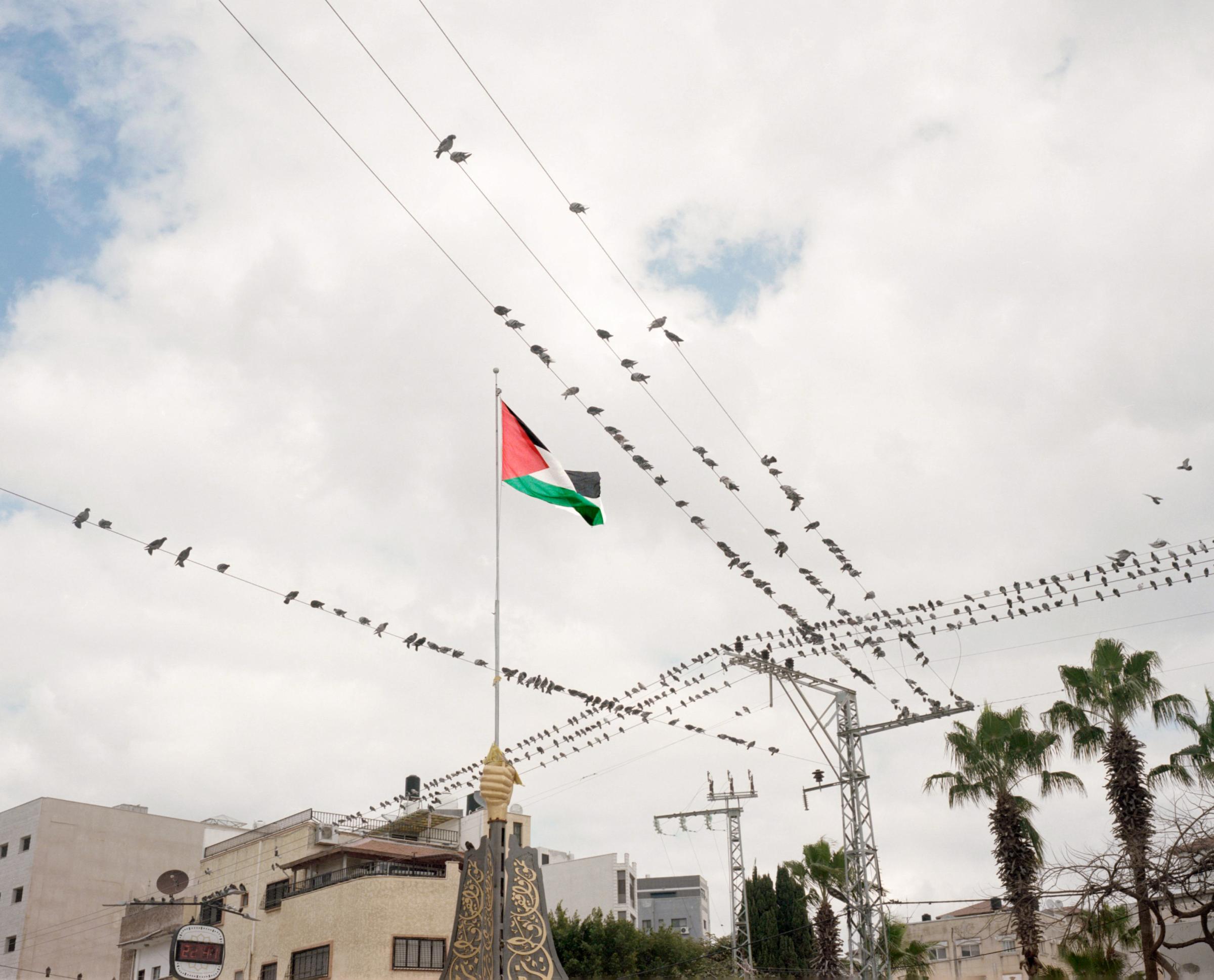 Along the Separation Wall (ong) -   
