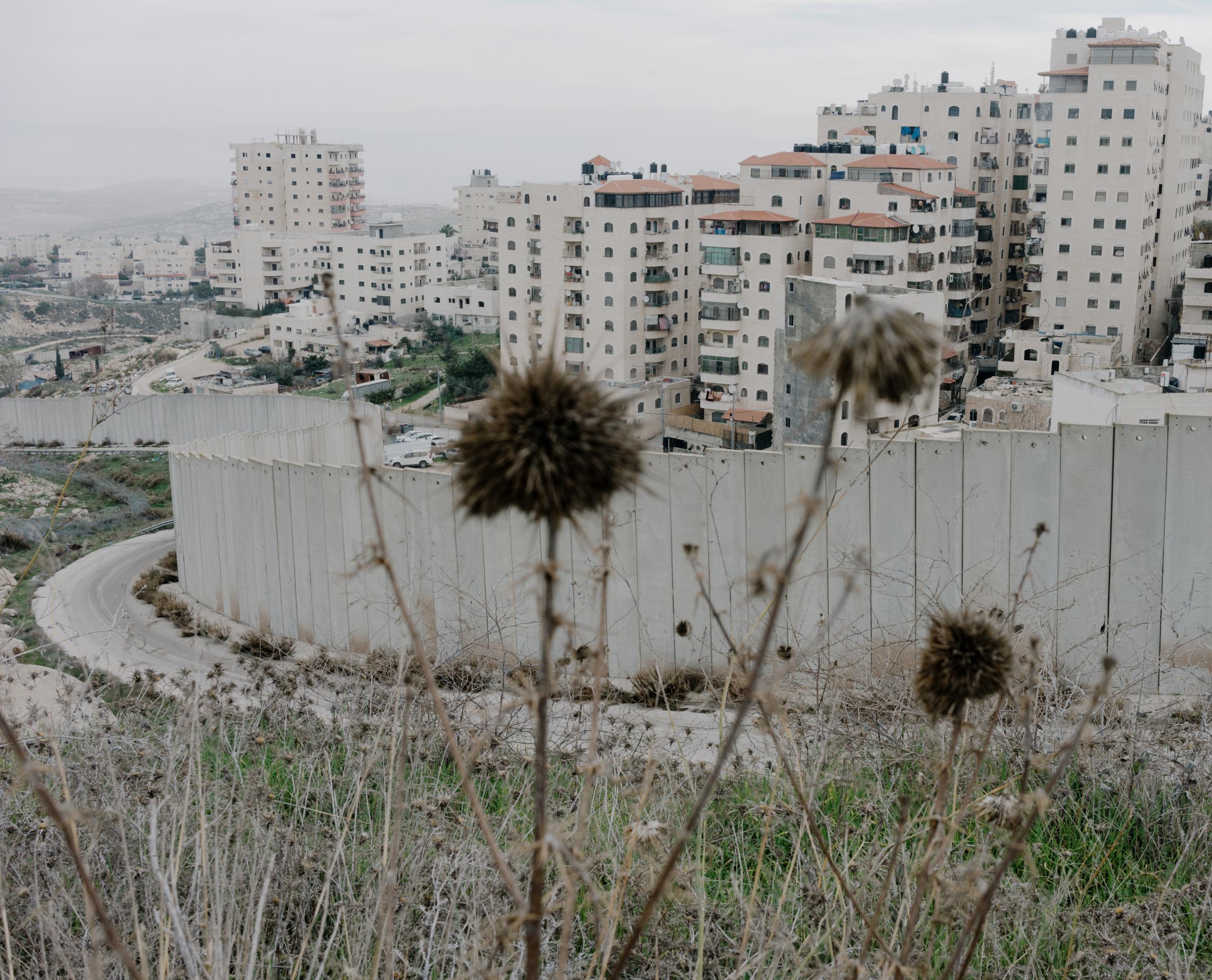 Along the Separation Wall (ong) -   