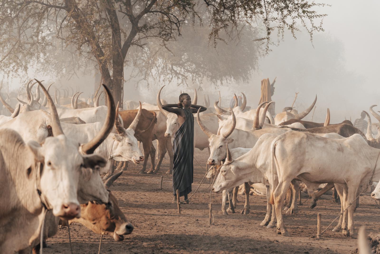 Mundari cattle camp, south Sudan