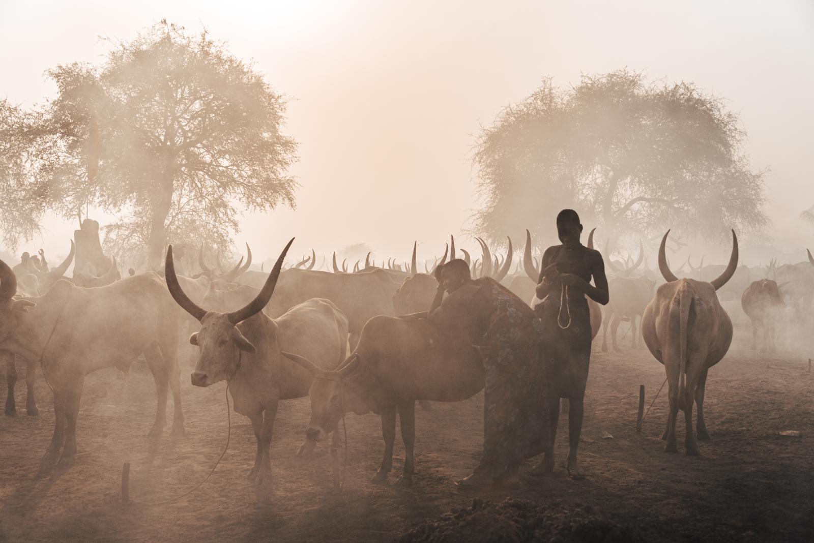  "Eco-Warriors of the Grasslands: The Sustainable Lifestyle of the Mundari Tribe"