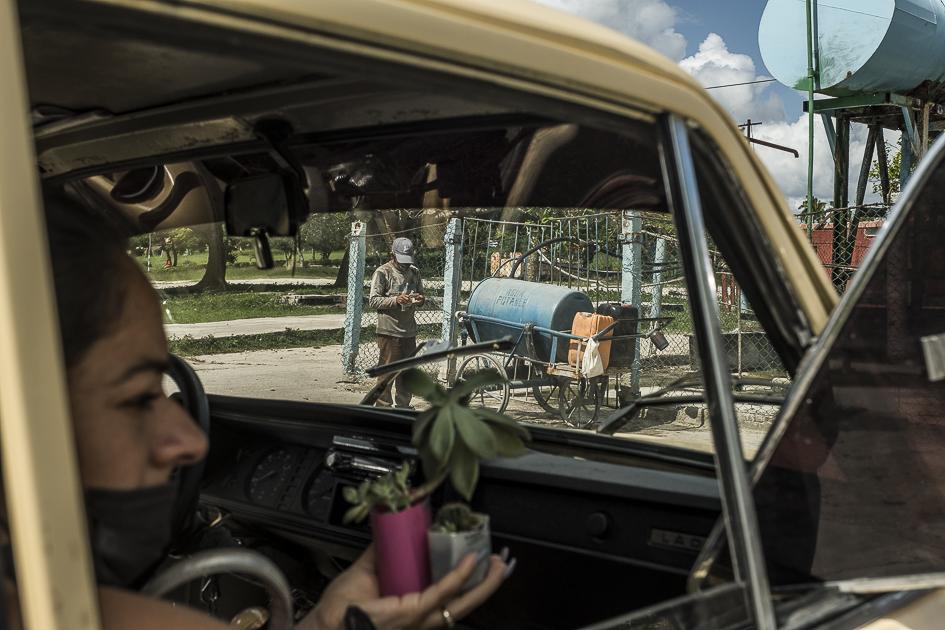 Manifiesto del Agua - Cuba - A woman is holding a plant in her hands in a Lada, while...