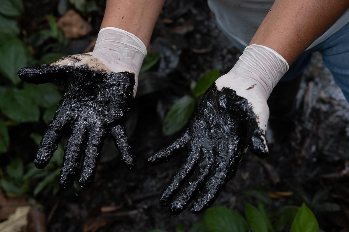 Sumak Kawsay: The Rights of Nature - The hands of Donald Moncayo are covered in petroleum,...