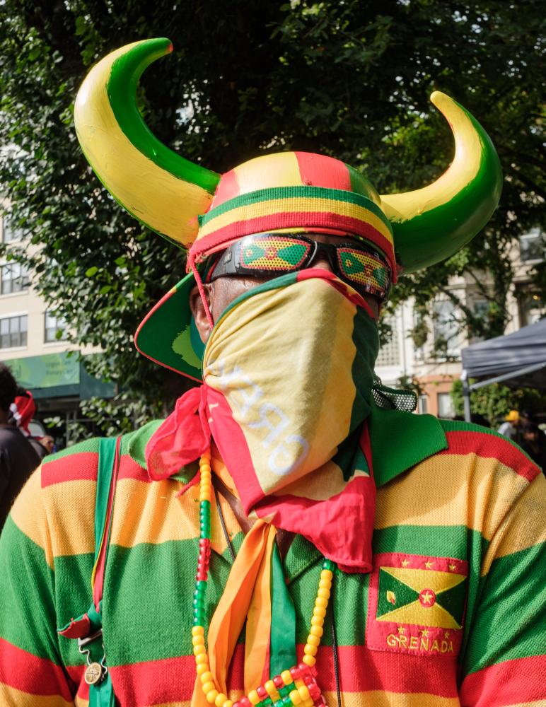 Image from The Parkway - Man in Grenada flag at the West Indian Day Parade  