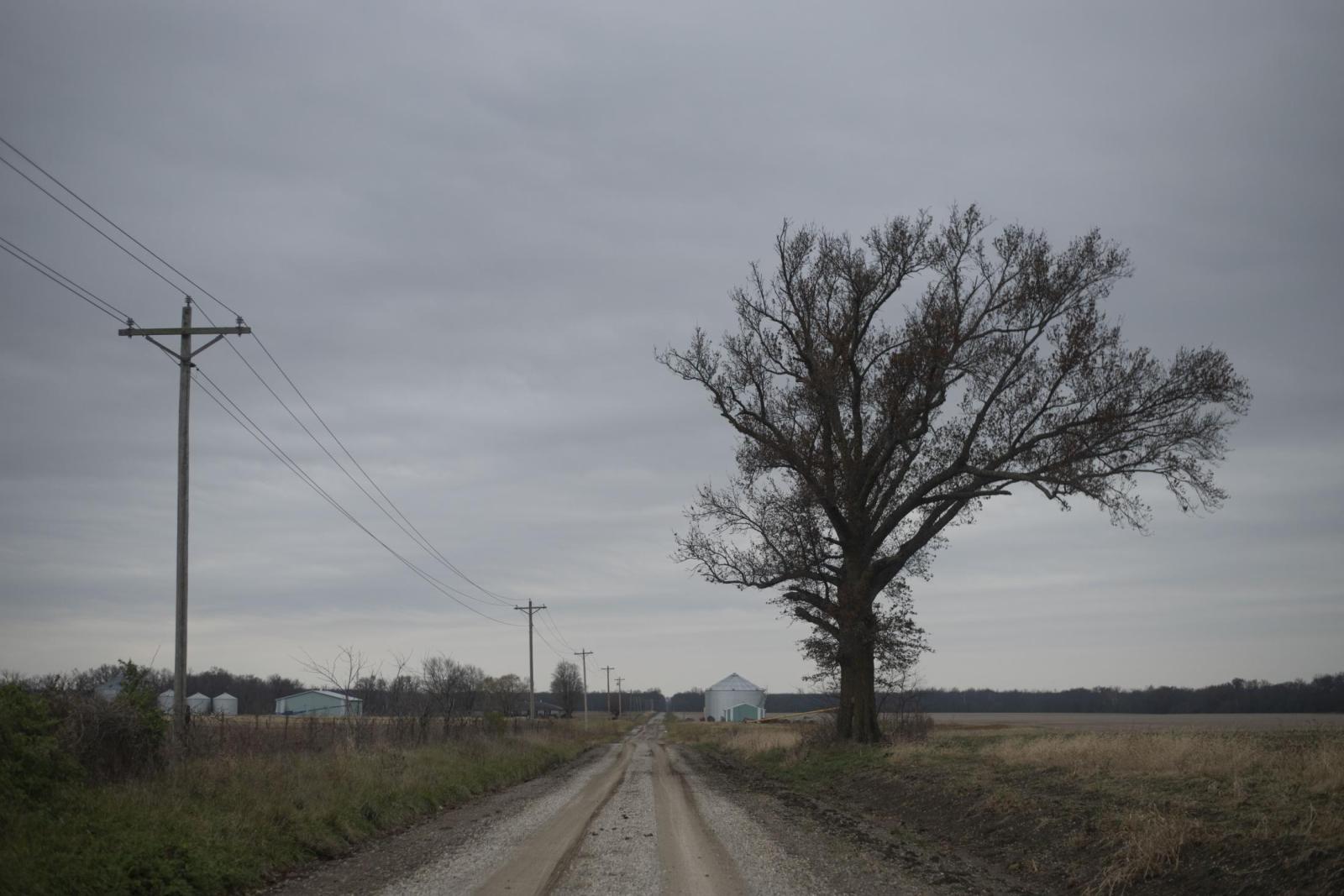 From this earth - A tree lines the road leading to Ralph and Wilma&#39;s house Nov. 24. They were my...