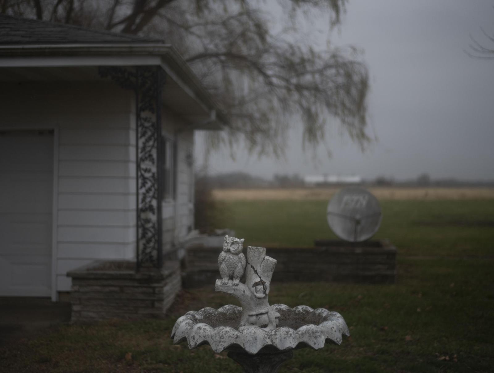 From this earth - An owl statuette sits outside of Ralph and Wilma&#39;s house Nov. 24. Wilma had a penchant...