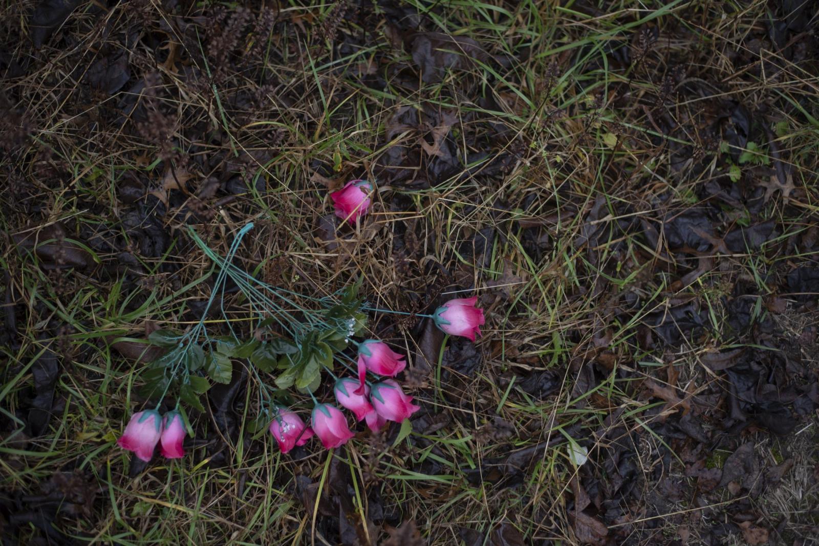 From this earth - Flowers set out in memory of Wilma are blown down by the wind Nov. 25. She held Easter picnics...