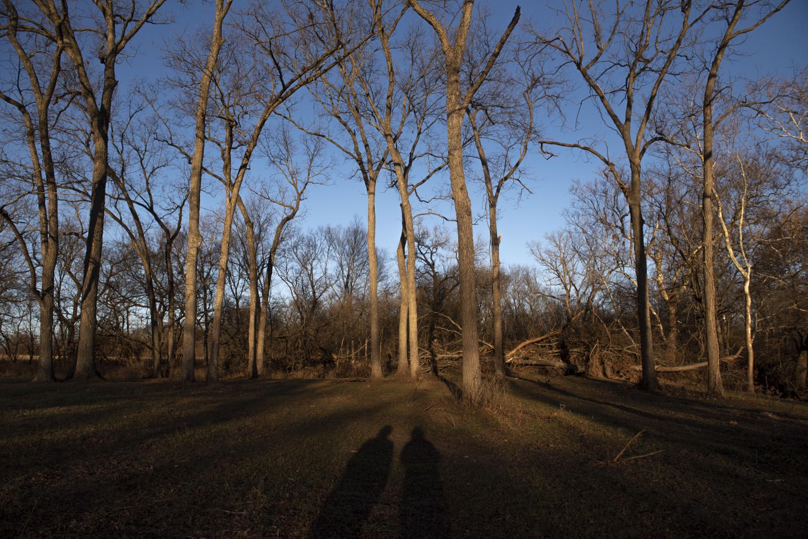 Mom and I’s shadows stretch out into the timber Nov. 27, 2021, on my family’s farm in Rich Hill, Mo. 