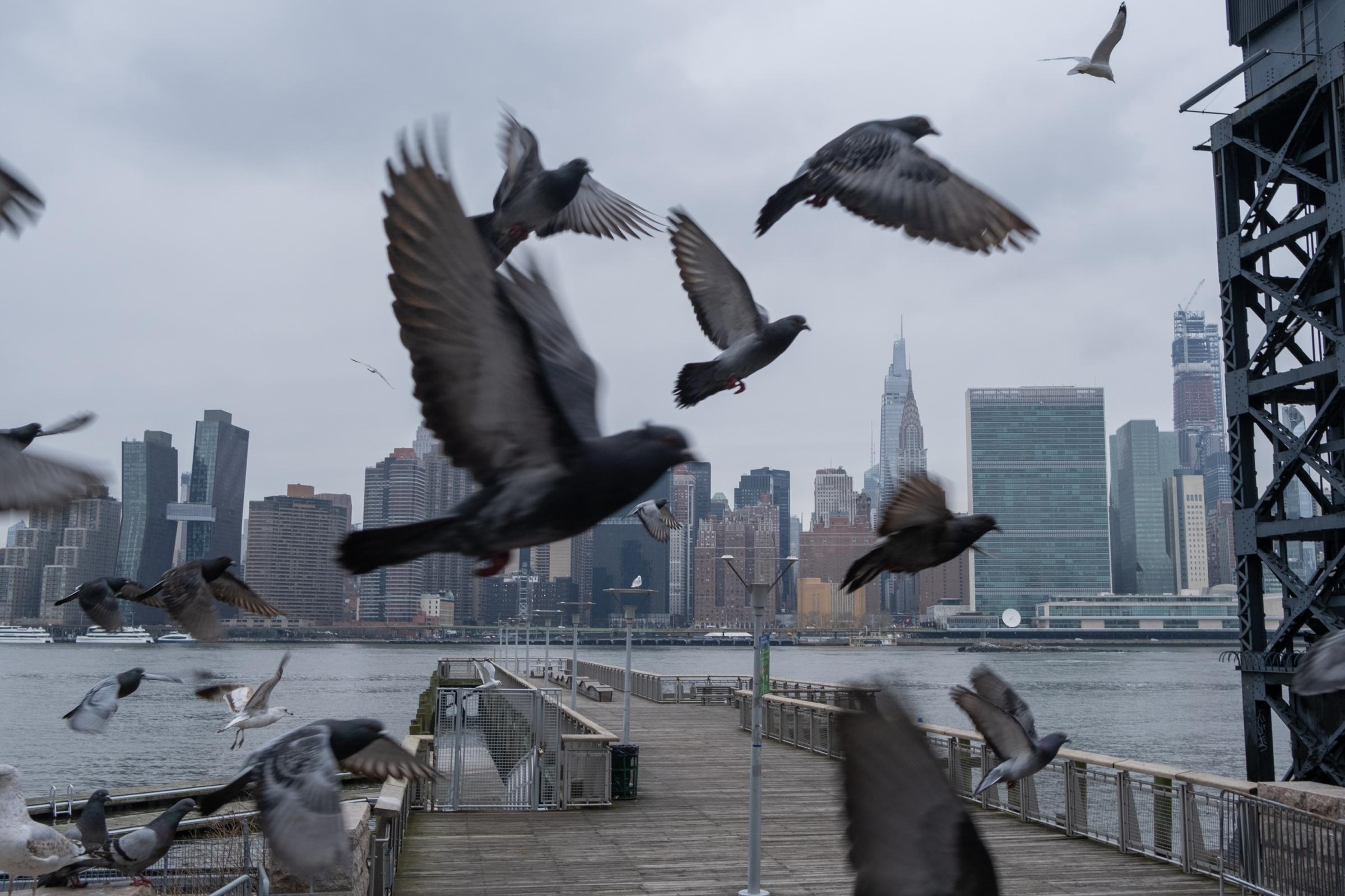 Long Island City - A Neighborhood Building A Divide