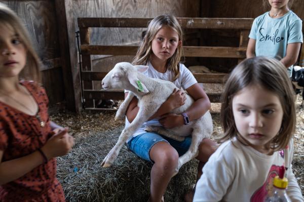 Recent Work - Open farm day in Madison County allows the public to...