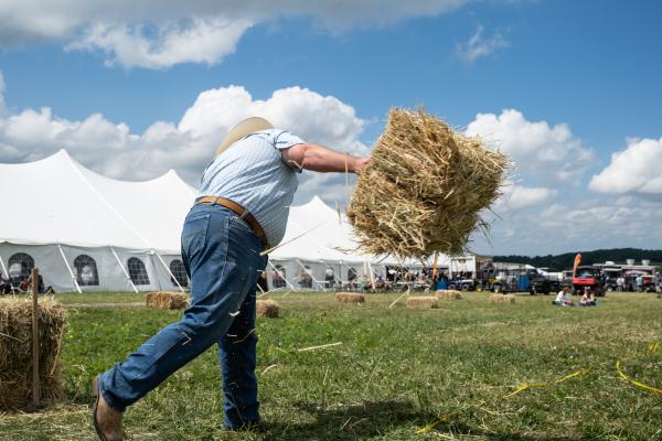 Recent Work - A farmer competing in the farmer olympics throws a hay...