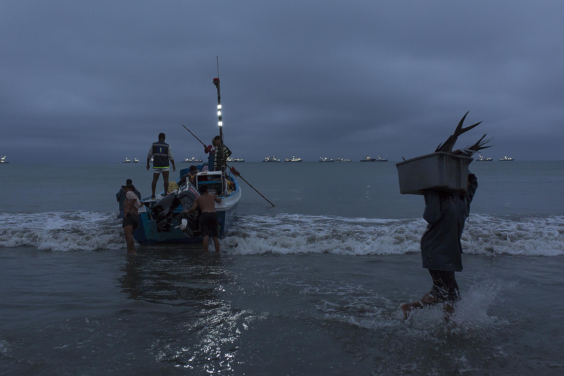 Fishing and aquaculture - 13 Sep, 2022, Manta, Ecuador. Artisanal fishermen arrive...