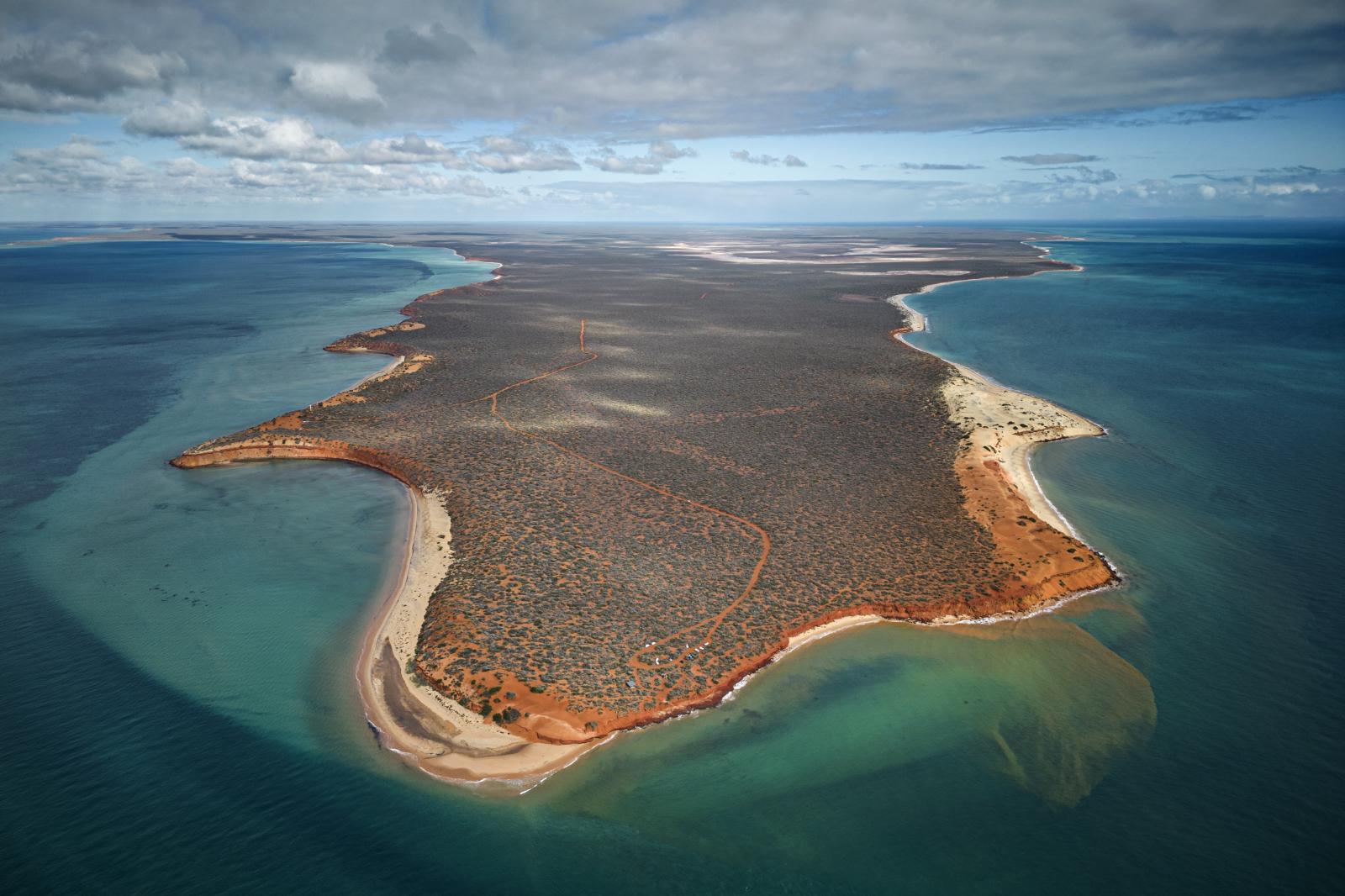 On the edge of the Australian c... ecosystem. Shark Bay Australia