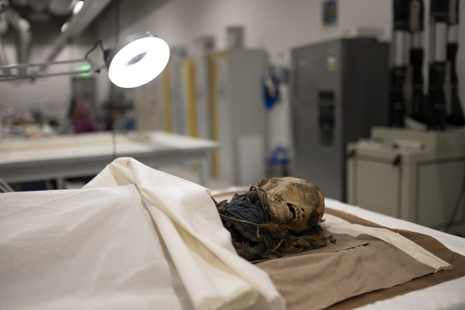 A mummy under inspection and re...gypt. December 2023. Giza Egypt
