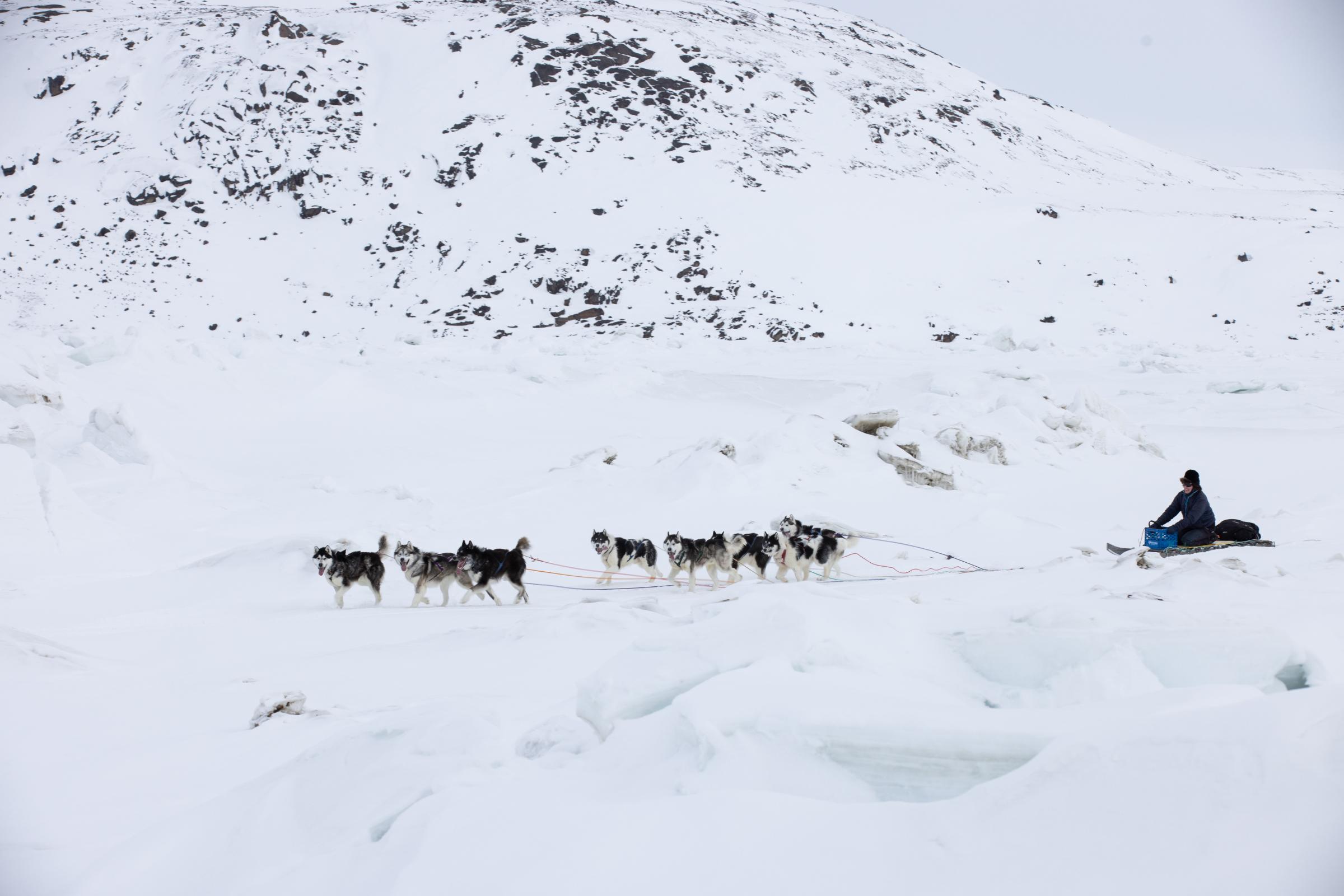 An Arctic blast - The Globe and Mail - Lynn Peplinski travels through ice during the full team...